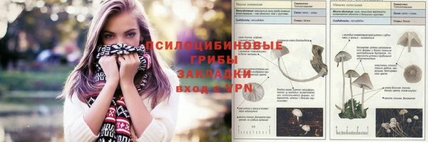 эйфоретик Балахна