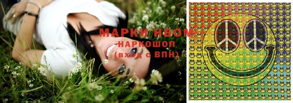 индика Баксан