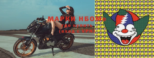 индика Баксан
