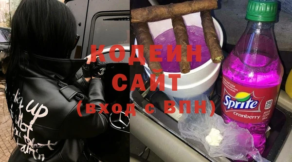 индика Баксан