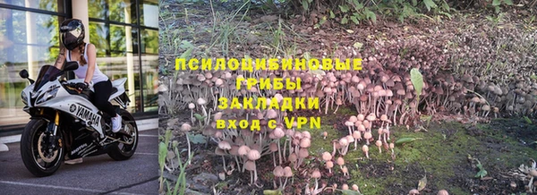 эйфоретик Балахна
