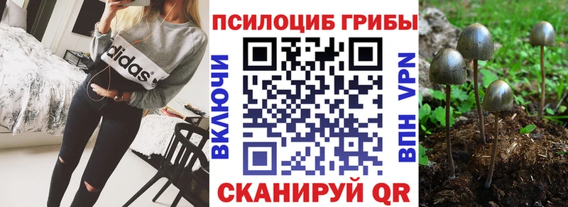 Псилоцибиновые грибы прущие грибы  продажа наркотиков  мориарти формула  Белинский 